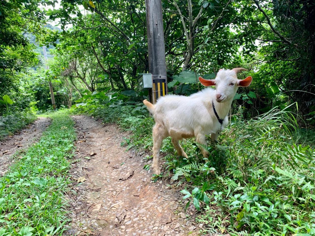 Itona * Ishigaki (Okinawa)